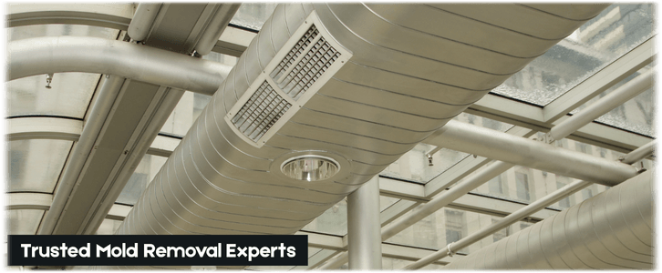 Air Duct Mold Removal in Garland