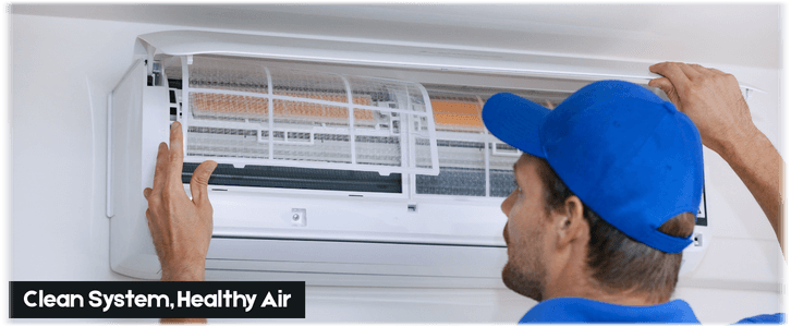 HVAC Mold Removal Garland